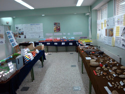 Exposicion Evolucion humana01-IES Los Olivos